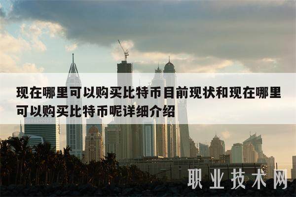 现在哪里可以购买比特币目前现状和现在哪里可以购买比特币呢详细介绍-第1张图片-交易所